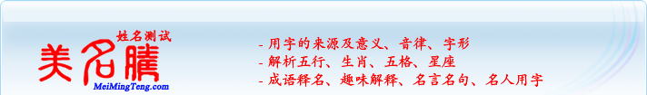 用字的來源及意義、音律、字形；五行、生肖、五格、星座；成語釋名、趣味解釋、名言名句、名人用字