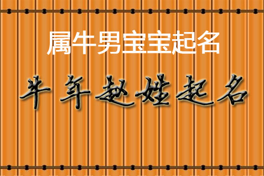 牛年趙姓男孩成語(yǔ)起名