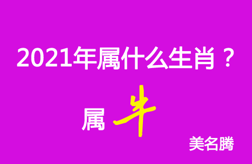 2021年屬什么生肖？2021年屬牛